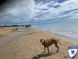 2024-09-22 - Bibione