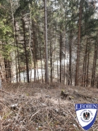 slt_2025-02-23_13