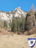 slt_2025-03-09_02