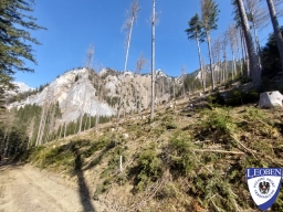 slt_2025-03-09_06