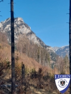 slt_2025-03-09_10