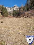 slt_2025-03-09_15