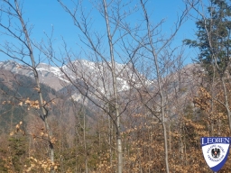 slt_2025-03-09_18