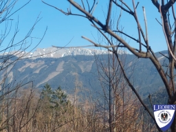 slt_2025-03-09_21