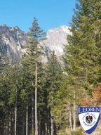 slt_2025-03-09_28