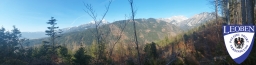slt_2025-03-09_30