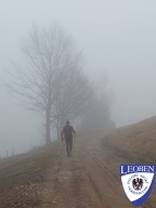 slt_2025-03-16_01