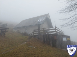 slt_2025-03-16_03