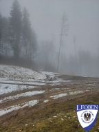 slt_2025-03-16_05