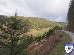 slt_2025-03-30_01