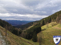 slt_2025-03-30_04