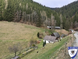 slt_2025-03-30_11