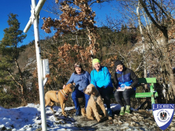 2025-12-28 - Schillerkreuz