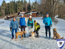 2026-01-11 - Veitsberg