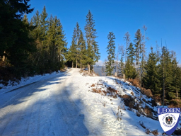 2026-01-18 - Friesingwand