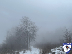 2026-01-25 - Seegraben