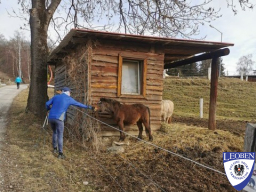 2026-02-15 - Höller Harb-Runde