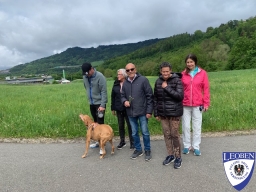 Lauf Leoben 06.05.2025